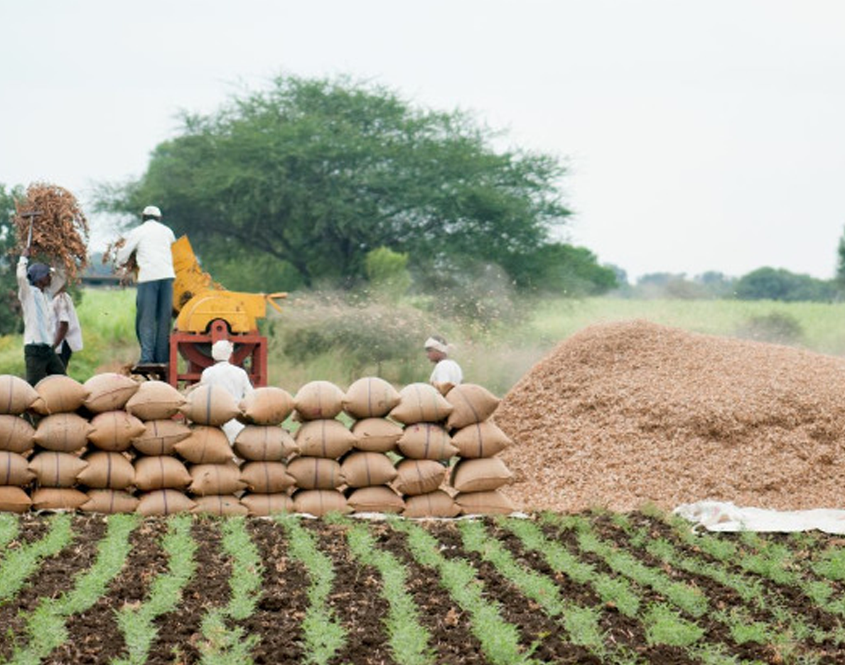 Bound Farmer